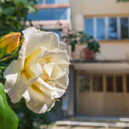 Appartement Private In Chayka Near The Sea Garden