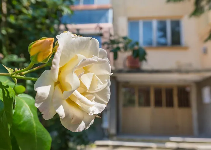 Апартамент Private In Chayka Near The Sea Garden